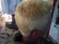 /album/galeria-de-fotos-pagina-inicial/z1yznoey-jpg/