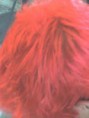 /album/galeria-de-fotos-pagina-inicial/zbb22su-jpg/